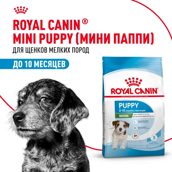Royal Canin Mini Junior для щенков мелких пород с 2 до 10 месяцев - 2 кг