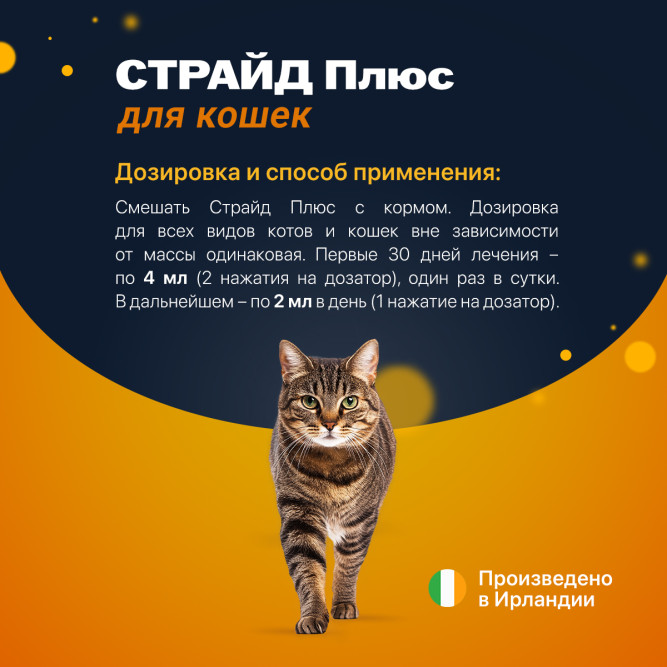 Страйд плюс кормовая добавка для кошек для нормализации и поддержания функций опорно-двигательного аппарата - 160 мл