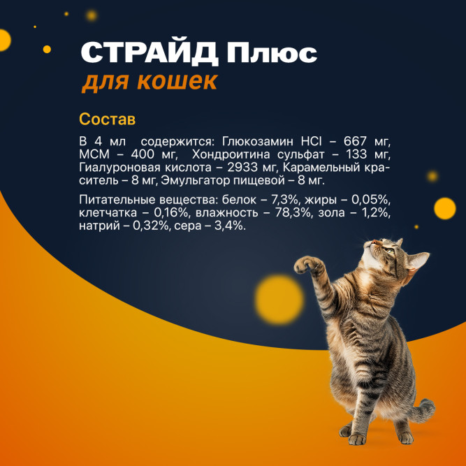 Страйд плюс кормовая добавка для кошек для нормализации и поддержания функций опорно-двигательного аппарата - 160 мл