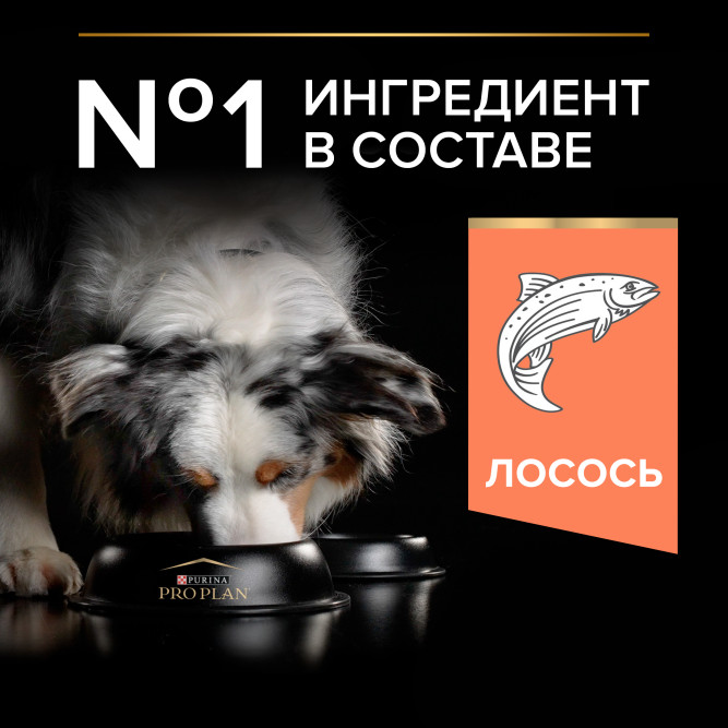 Purina Pro Plan Duo Delice сухой корм для взрослых собак средних и крупных пород, с высоким содержанием лосося - 10 кг