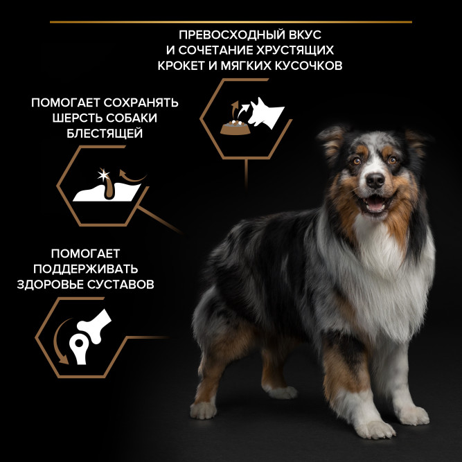 Purina Pro Plan Duo Delice сухой корм для взрослых собак средних и крупных пород, с высоким содержанием лосося - 10 кг