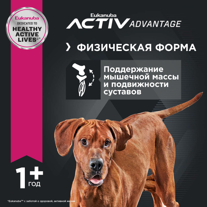 Сухой корм Eukanuba Adult Large Breed для собак крупных пород с курицей - 15 кг