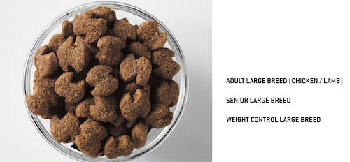 Сухой корм Eukanuba Adult Large Breed для собак крупных пород с курицей - 15 кг