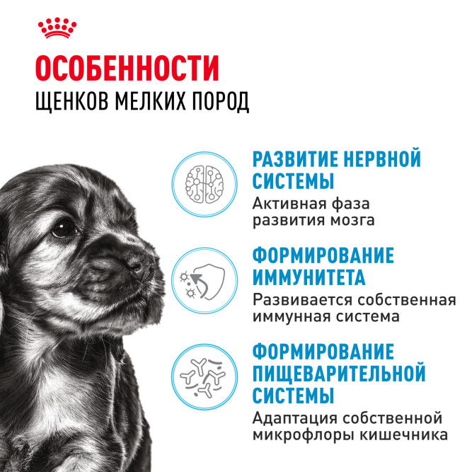 Royal Canin Mini Junior сухой корм для щенков мелких пород - 800г