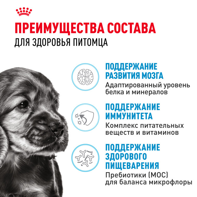 Royal Canin Mini Junior сухой корм для щенков мелких пород - 800г