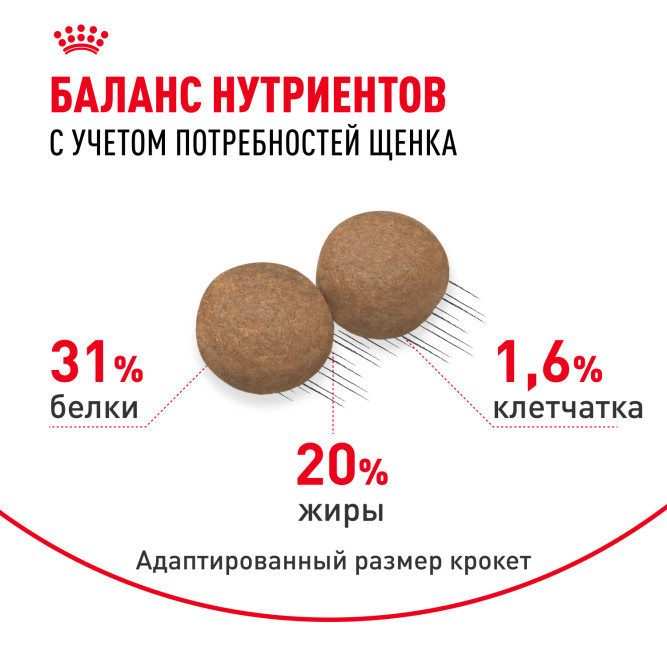 Royal Canin Mini Junior сухой корм для щенков мелких пород - 800г