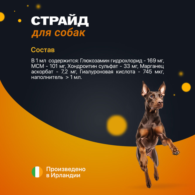 Страйд плюс кормовая добавка для собак для нормализации и поддержания функций опорно-двигательного аппарата - 500 мл