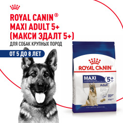 Royal Canin Maxi Adult 5+ сухой корм для собак крупных пород старше 5 лет