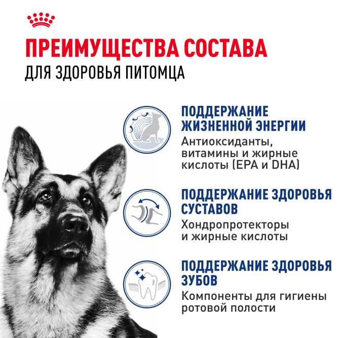 Royal Canin Maxi Adult 5+ сухой корм для собак крупных пород старше 5 лет