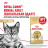 Royal Canin Bengal сухой корм для взрослых бенгальских кошек - 2 кг