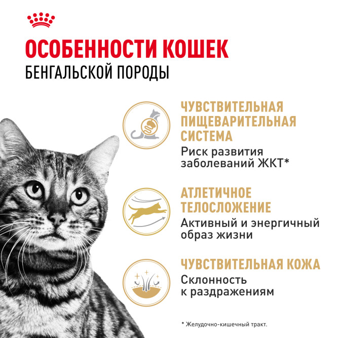 Royal Canin Bengal сухой корм для взрослых бенгальских кошек - 2 кг