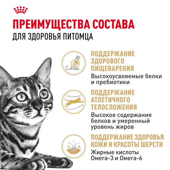 Royal Canin Bengal сухой корм для взрослых бенгальских кошек - 2 кг