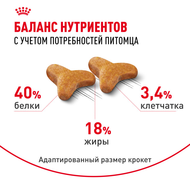 Royal Canin Bengal сухой корм для взрослых бенгальских кошек - 2 кг
