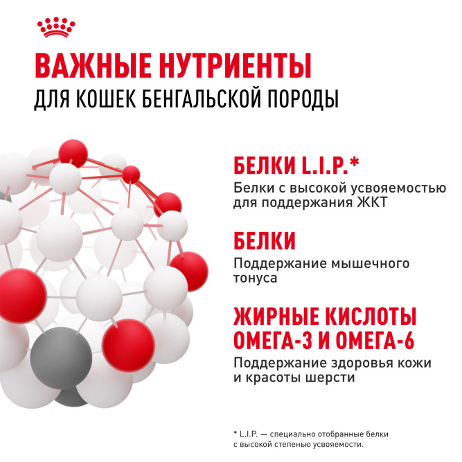 Royal Canin Bengal сухой корм для взрослых бенгальских кошек - 2 кг