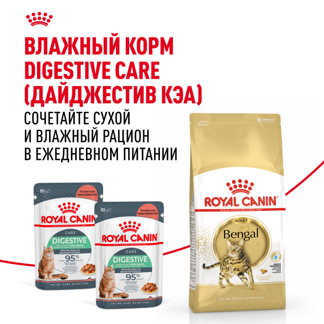 Royal Canin Bengal сухой корм для взрослых бенгальских кошек - 2 кг