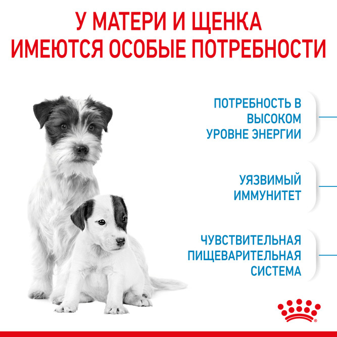 Royal Canin Mini Starter Mother &amp; Babydog сухой корм для щенков, беременных и лактирующих сук мелких пород - 1 кг