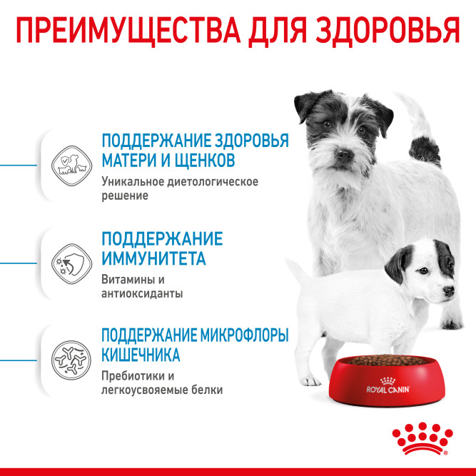 Royal Canin Mini Starter Mother &amp; Babydog сухой корм для щенков, беременных и лактирующих сук мелких пород - 1 кг