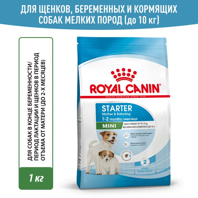 Royal Canin Mini Starter Mother &amp; Babydog сухой корм для щенков, беременных и лактирующих сук мелких пород - 1 кг