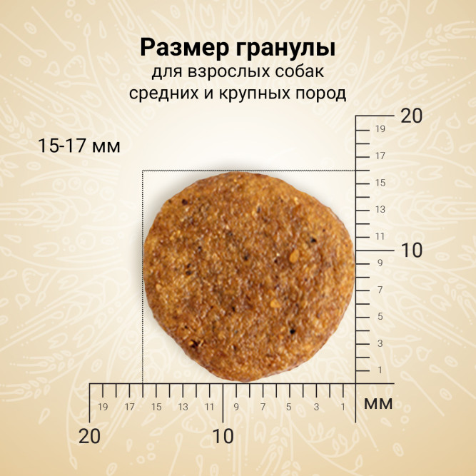 Craftia Natura сухой корм для взрослых собак средних и крупных пород с курицей и индейкой - 2 кг