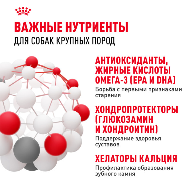 Royal Canin Maxi Adult 5+ для взрослых собак крупных размеров в возрасте от 5 до 8 лет - 4 кг