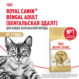 Royal Canin Bengal сухой корм для взрослых бенгальских кошек - 400 г
