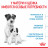 Royal Canin Mini Starter Mother &amp; Babydog сухой корм для щенков до 2 месяцев мелких пород - 3 кг