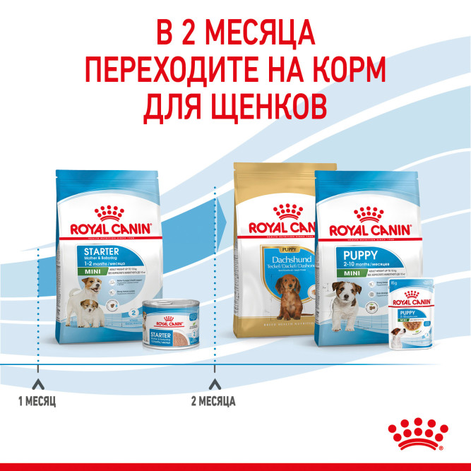 Royal Canin Mini Starter Mother &amp; Babydog сухой корм для щенков до 2 месяцев мелких пород - 3 кг