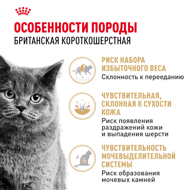 Royal Canin British Shorthair Adult влажный корм для взрослых британских короткошерстных кошек в соусе, в паучах - 85 г х 28 шт