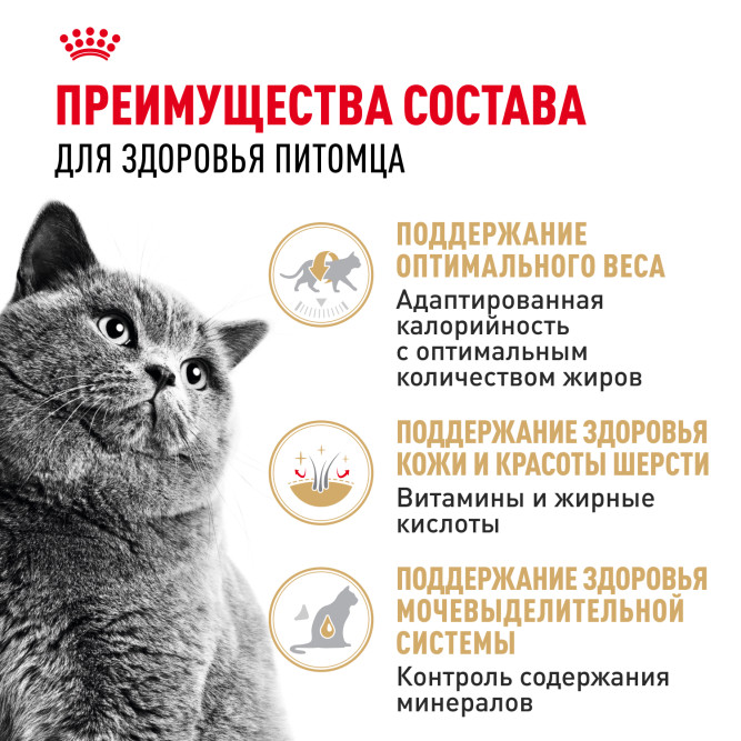 Royal Canin British Shorthair Adult влажный корм для взрослых британских короткошерстных кошек в соусе, в паучах - 85 г х 28 шт