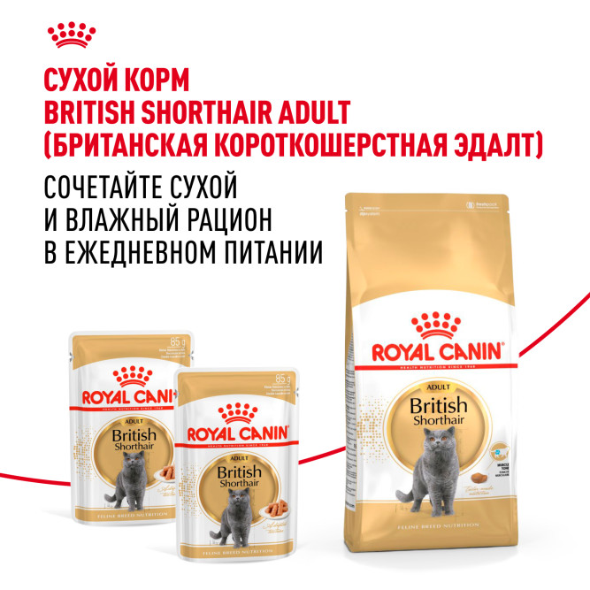 Royal Canin British Shorthair Adult влажный корм для взрослых британских короткошерстных кошек в соусе, в паучах - 85 г х 28 шт