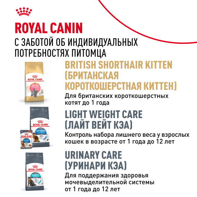 Royal Canin British Shorthair Adult влажный корм для взрослых британских короткошерстных кошек в соусе, в паучах - 85 г х 28 шт