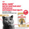Royal Canin British Shorthair Adult влажный корм для взрослых британских короткошерстных кошек в соусе, в паучах - 85 г х 28 шт