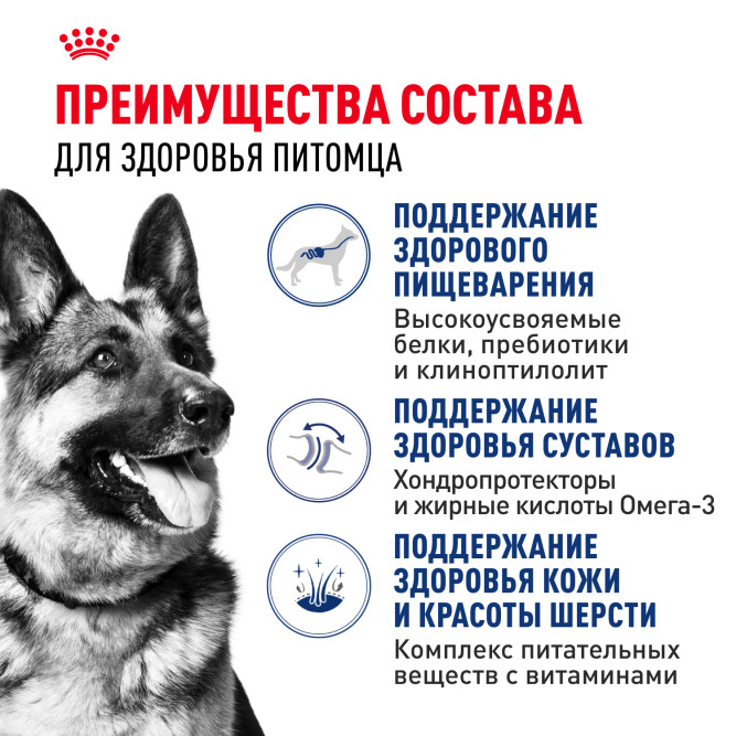 Royal Canin Maxi Adult сухой корм для взрослых собак крупных пород - 3 кг