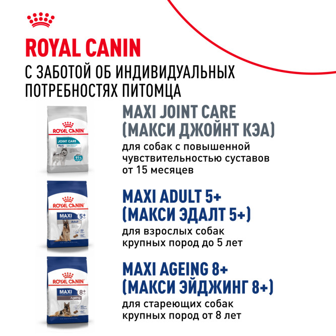Royal Canin Maxi Adult сухой корм для взрослых собак крупных пород - 3 кг