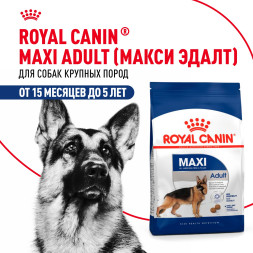 Royal Canin Maxi Adult сухой корм для взрослых собак крупных пород - 3 кг