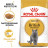 Royal Canin British Shorthair Adult сухой корм для взрослых кошек породы британской короткошерстной - 10 кг