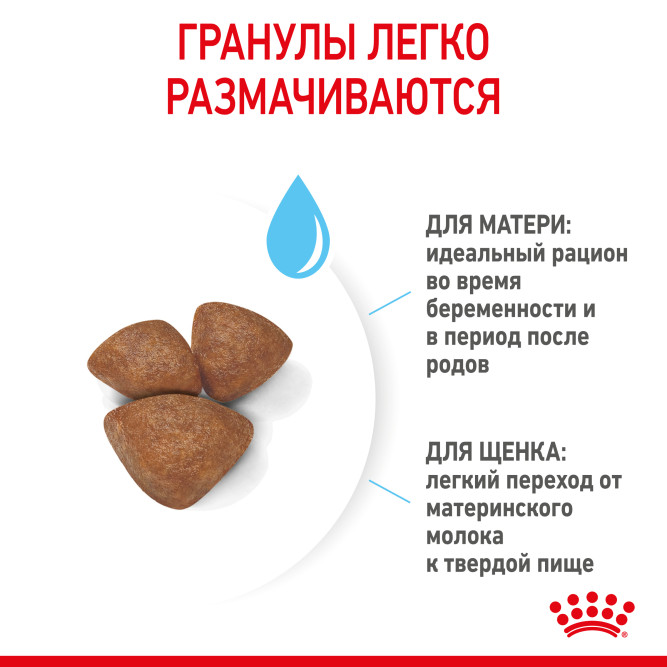 Royal Canin Mini Starter Mother &amp; Babydog сухой корм для щенков, беременных и лактирующих сук мелких пород - 8,5 кг