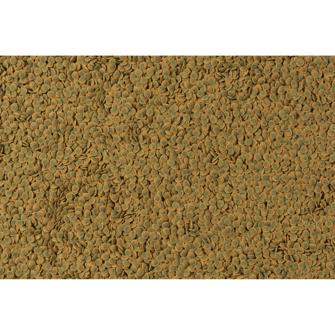 Tetra Pleco Veggie Wafers корм пластинки для донных рыб с добавлением цуккини - 15 г