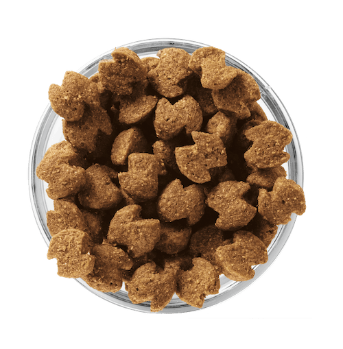 Сухой корм Eukanuba Adult Medium Breed для собак средних пород с курицей - 15 кг