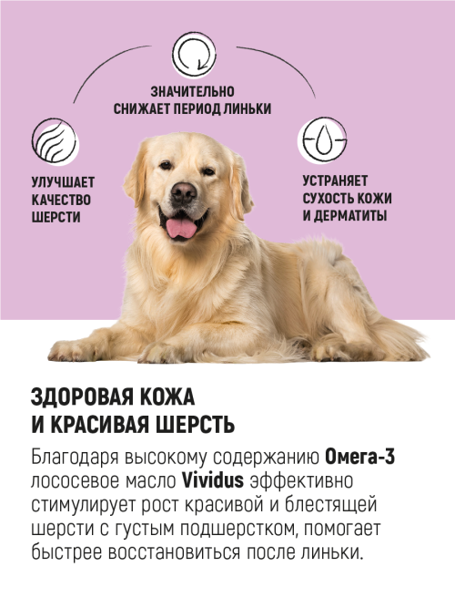 Vividus кормовая добавка для животных масло дикого лосося - 250 мл