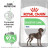 Royal Canin Maxi Digestive Care сухой корм для взрослых собак крупных размеров с чувствительной пищеварительной системой - 3 кг