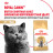 Royal Canin British Shorthair Adult для британских короткошерстных кошек старше 12 месяцев - 2 кг