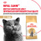 Royal Canin British Shorthair Adult для британских короткошерстных кошек старше 12 месяцев - 2 кг