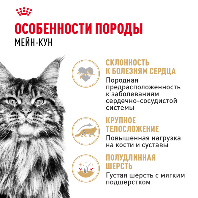 Royal Canin Maine Coon Adult влажный корм для взрослых кошек породы Мэйн Кун в соусе, в паучах - 85 г х 28 шт