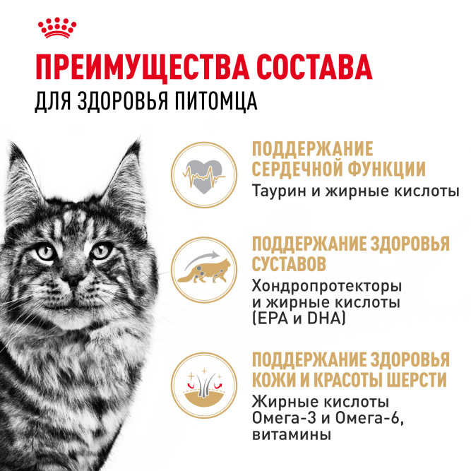 Royal Canin Maine Coon Adult влажный корм для взрослых кошек породы Мэйн Кун в соусе, в паучах - 85 г х 28 шт