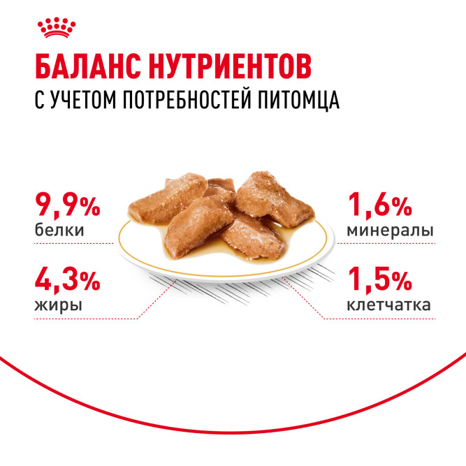 Royal Canin Maine Coon Adult влажный корм для взрослых кошек породы Мэйн Кун в соусе, в паучах - 85 г х 28 шт