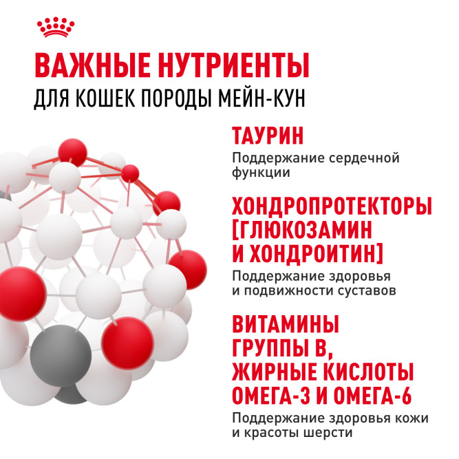 Royal Canin Maine Coon Adult влажный корм для взрослых кошек породы Мэйн Кун в соусе, в паучах - 85 г х 28 шт