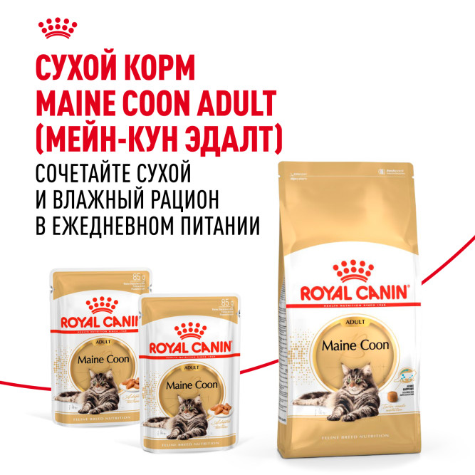 Royal Canin Maine Coon Adult влажный корм для взрослых кошек породы Мэйн Кун в соусе, в паучах - 85 г х 28 шт