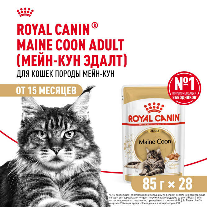Royal Canin Maine Coon Adult влажный корм для взрослых кошек породы Мэйн Кун в соусе, в паучах - 85 г х 28 шт