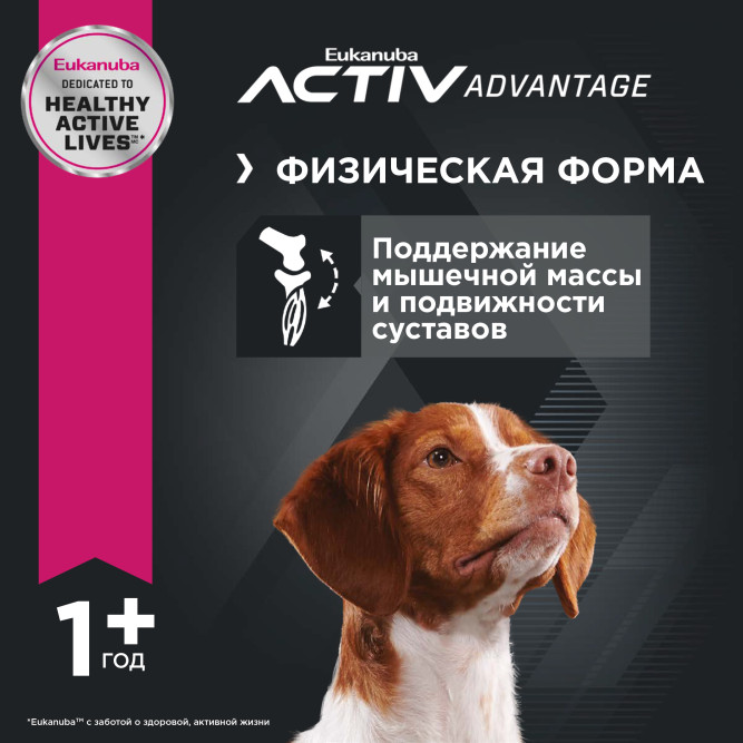 Сухой корм Eukanuba Adult Medium Breed для собак средних пород с курицей - 3 кг